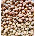 Jaivik Jeevan Organic Kala Chana Brown Chickpeas Unpolished Desi Channa (500 G Pack)