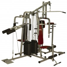 Lifeline 6 Station Home Gym - 2 Weight Lines